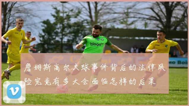 詹姆斯高尔夫球事件背后的法律风险究竟有多大会面临怎样的后果