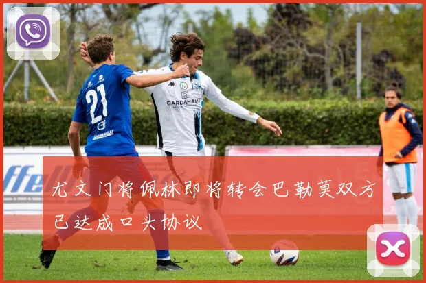 尤文门将佩林即将转会巴勒莫双方已达成口头协议