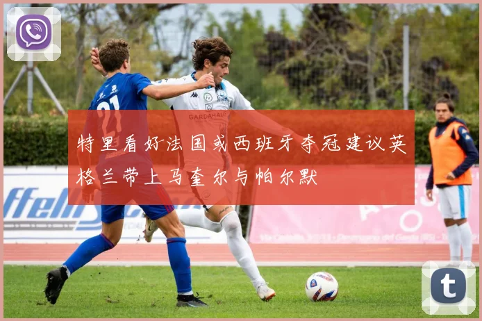 特里看好法国或西班牙夺冠建议英格兰带上马奎尔与帕尔默
