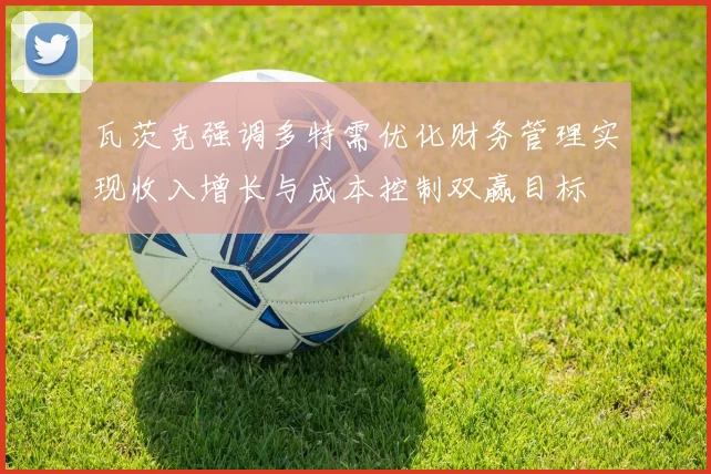 瓦茨克强调多特需优化财务管理实现收入增长与成本控制双赢目标